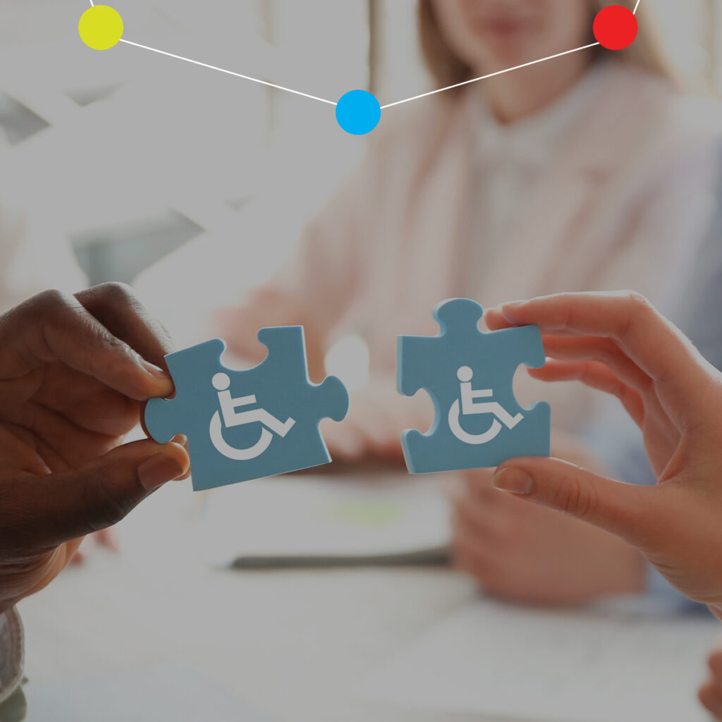 agenda della disabilità